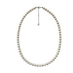 EBN10070 Classic Freshwater Pearl Necklace 6.5-7mm