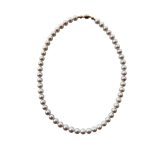 EBN10084 7.5-8.5mm Classic Elegance Fresh Water Pearl Necklace